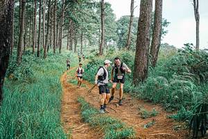 BIB: 
                            <button type="button" onclick="openModal(25658403)" class="btn btn-primary btn-sm float-right btn-popup" data-toggle="modal" data-target=".modal-high-quality">
                        <i class="fas fa-shopping-cart"></i> Add to Cart
                    </button>
                                            <button type="button" onclick="isThisMe(25658403, true)" class="btn btn-success btn-sm float-right btn-popup btn-isme hidden" data-toggle="tooltip" data-placement="bottom" title="นี่คือรูปของคุณใช่ไหม คลิกที่นี่เพื่อเอาเข้าอัลบั้ม">
                        <i class="fas fa-plus"></i> Add to album
                    </button>
                    <button type="button" onclick="isThisMe(25658403, false)" class="btn btn-warning btn-sm float-right btn-popup btn-isnotme hidden">
                        <i class="fas fa-ban"></i> Remove from album
                    </button>